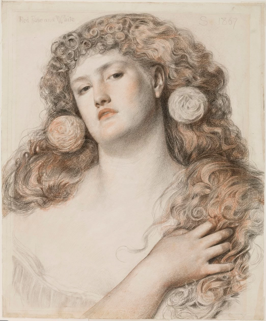Frederick Sandys-91-Rosa rossa e bianca, 1867 - Allen Memorial Art Museum, Oberlin College, Ohio